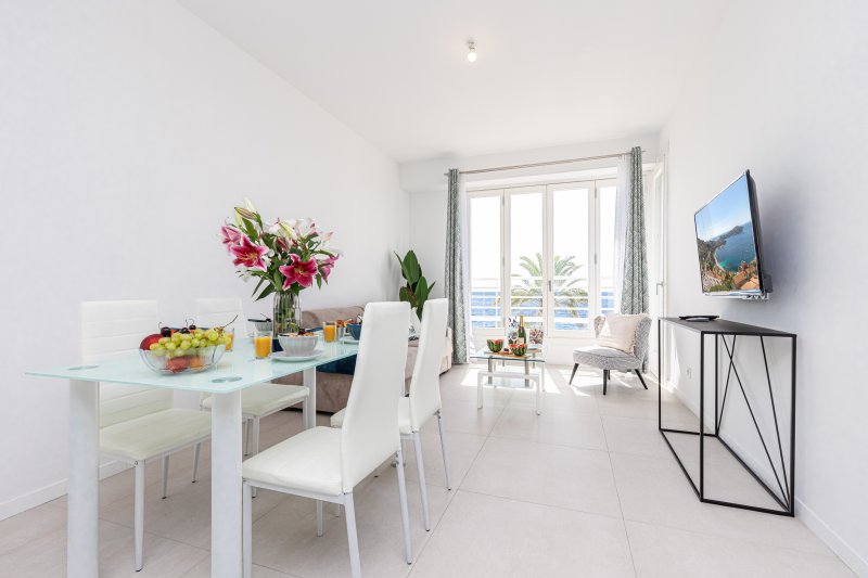 Prom 163 - PROMENADE DES ANGLAIS - 2 bedrooms with terraces