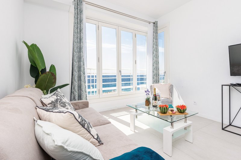 Prom 163 - PROMENADE DES ANGLAIS - 2 bedrooms with terraces