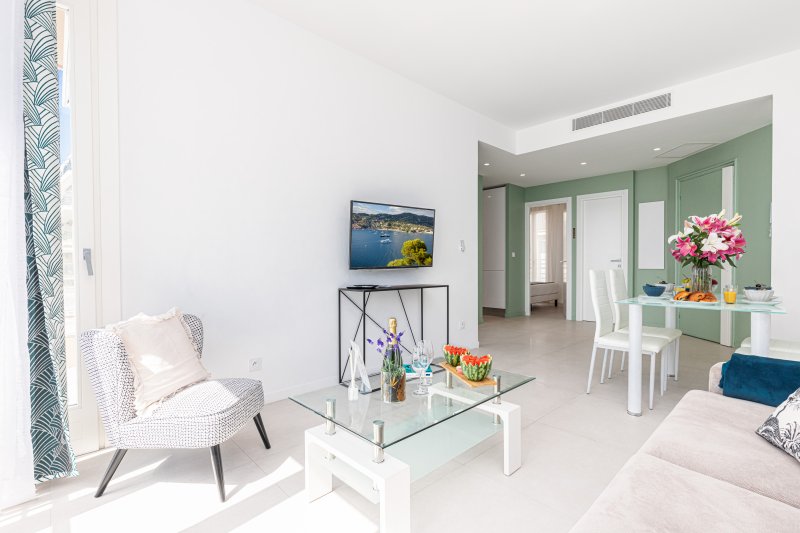 Prom 163 - PROMENADE DES ANGLAIS - 2 bedrooms with terraces