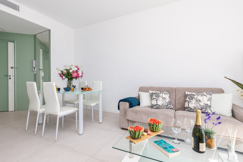Prom 163 - PROMENADE DES ANGLAIS - 2 bedrooms with terraces