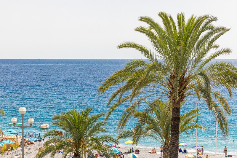 Prom 163 - PROMENADE DES ANGLAIS - 2 chambres avec terrasses